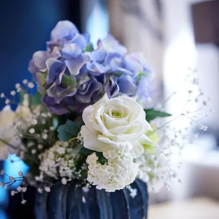 Molls Ferienhaeusel *