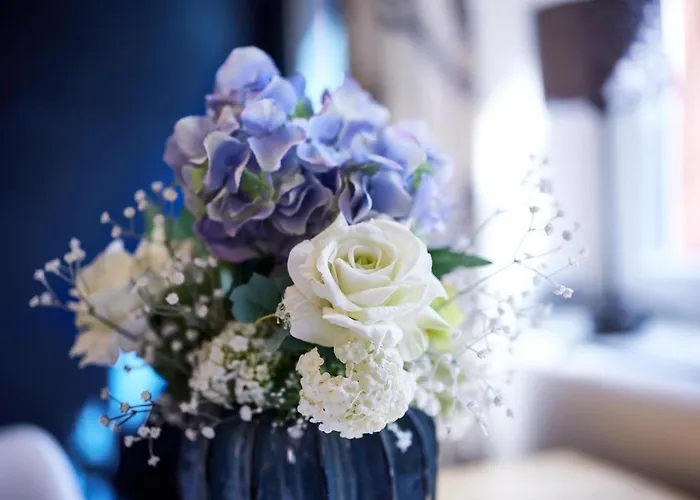 Molls Ferienhaeusel *