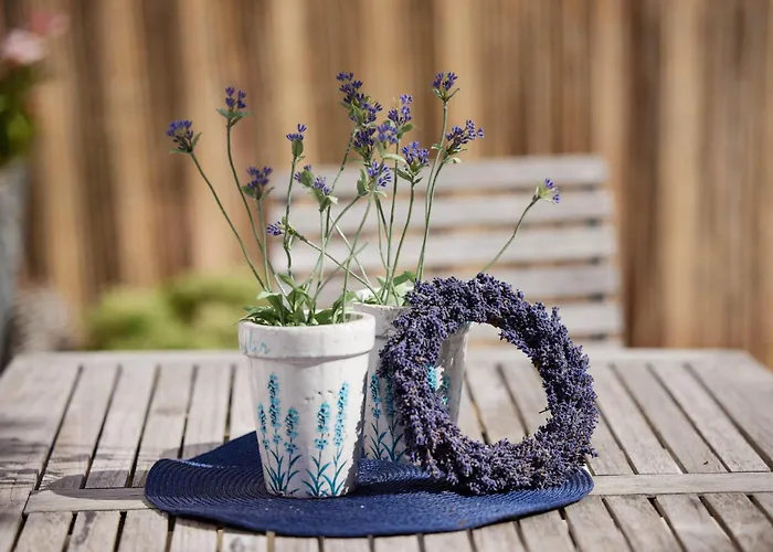 Molls Ferienhaeusel *